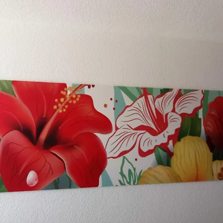 Palm Garden Morro Jable (Fuerteventura)