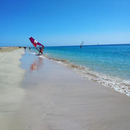 Palm Garden Apartmán *