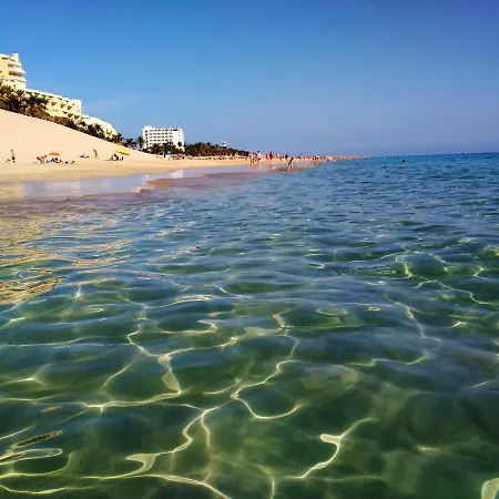 Apartmán Palm Garden